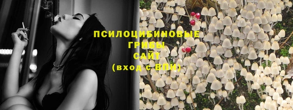 молекула духа Беломорск
