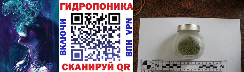 Конопля конопля даркнет сайт Мирный